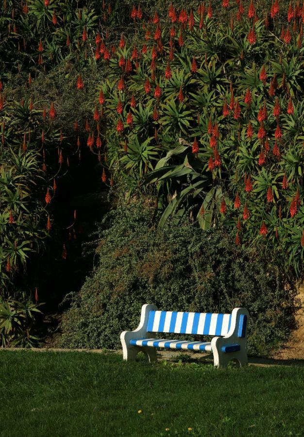 Azenhas Do Mar Cottage Sintra Ngoại thất bức ảnh